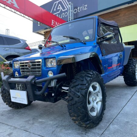 Yipter UTV800 2013 de venta en Lacayo Automotriz